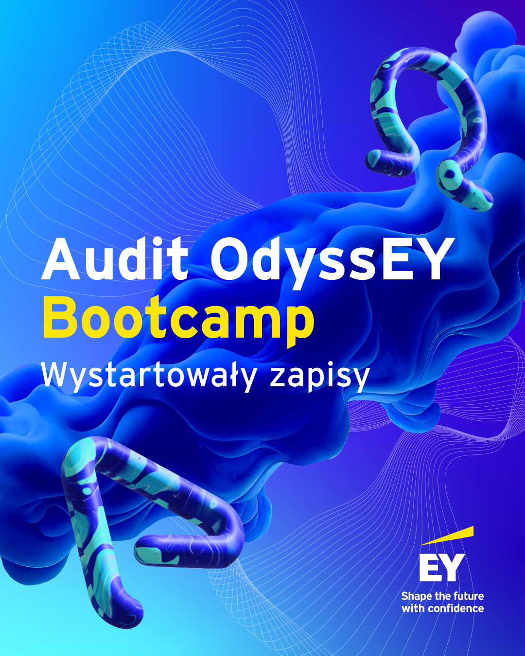 Audit OdyssEY Bootcamp – czyli inny wymiar finansów 