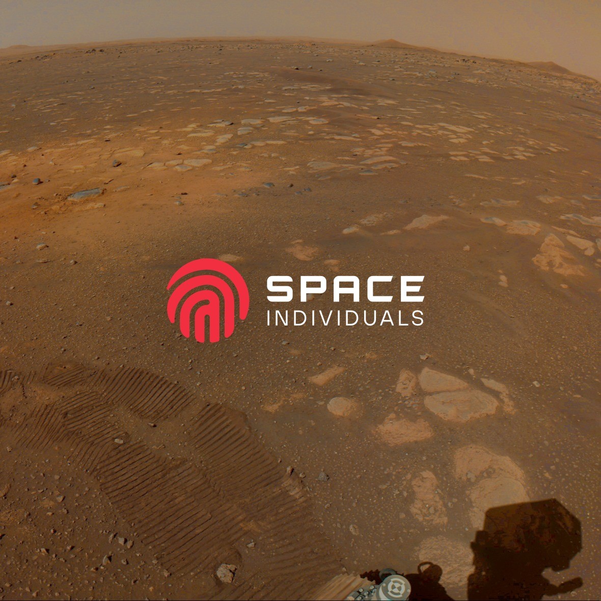 Portal 'Space Individuals' jest liderem na światowym rynku rekrutacji w branży kosmicznej.
