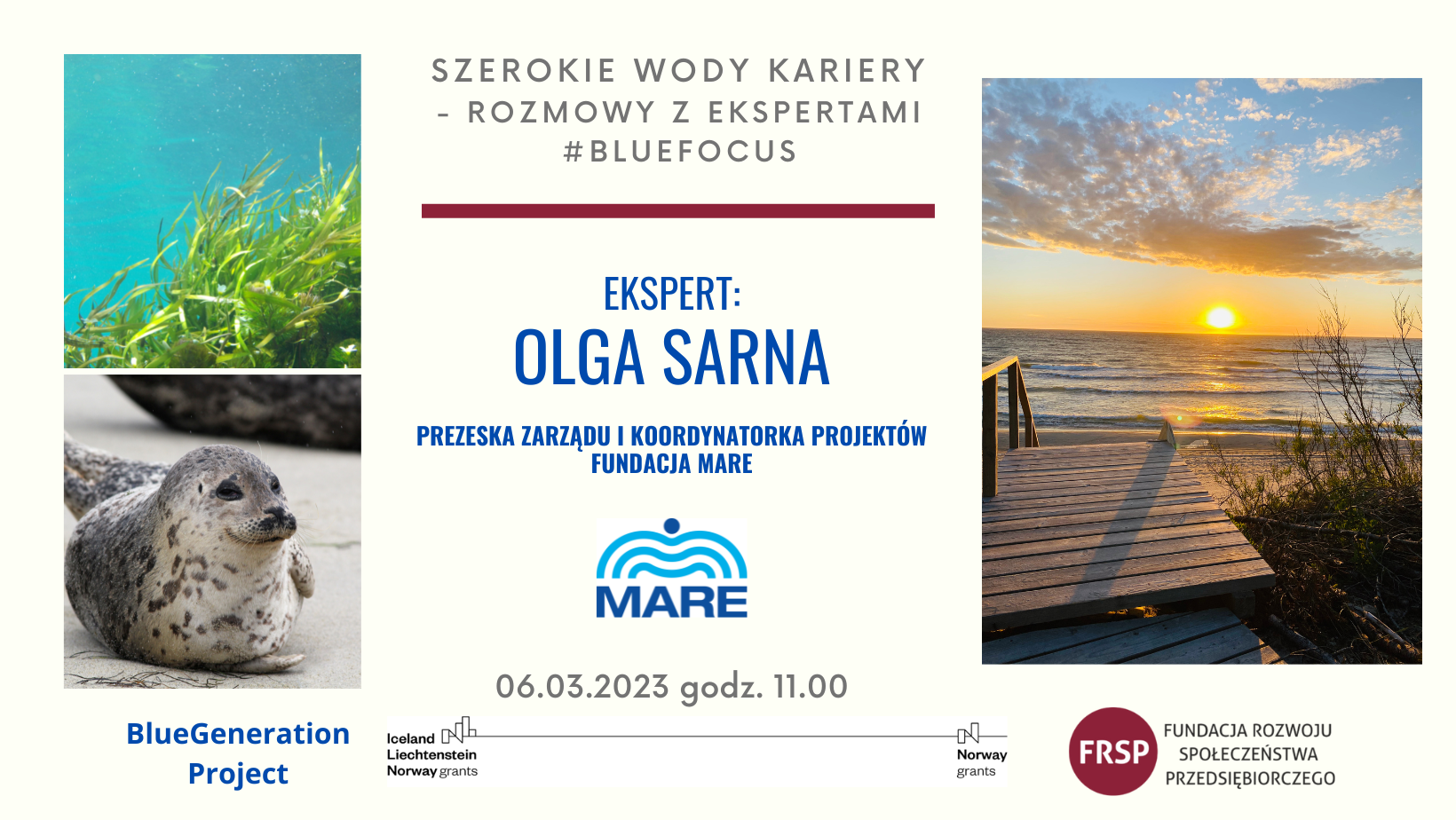 Szerokie wody kariery - rozmowy z ekspertami to seria webinarów realizowanych w ramach projektu Blue Generation